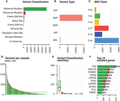 Correlation of tumor mutational burden with prognosis and immune infiltration in lung adenocarcinoma